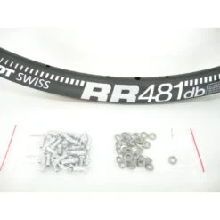 DT Swiss Felge RR 481 Disc