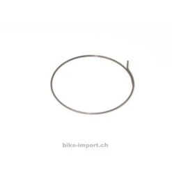 Fulcrum Sperrklinkenfedern 5-RM0-005 Für Freilaufkörper Ab Modell 2008